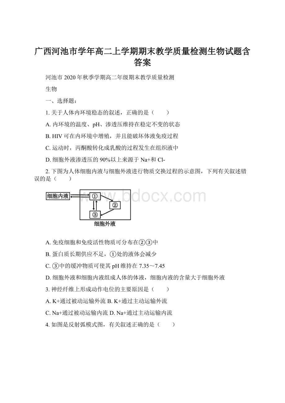 广西河池市学年高二上学期期末教学质量检测生物试题含答案.docx