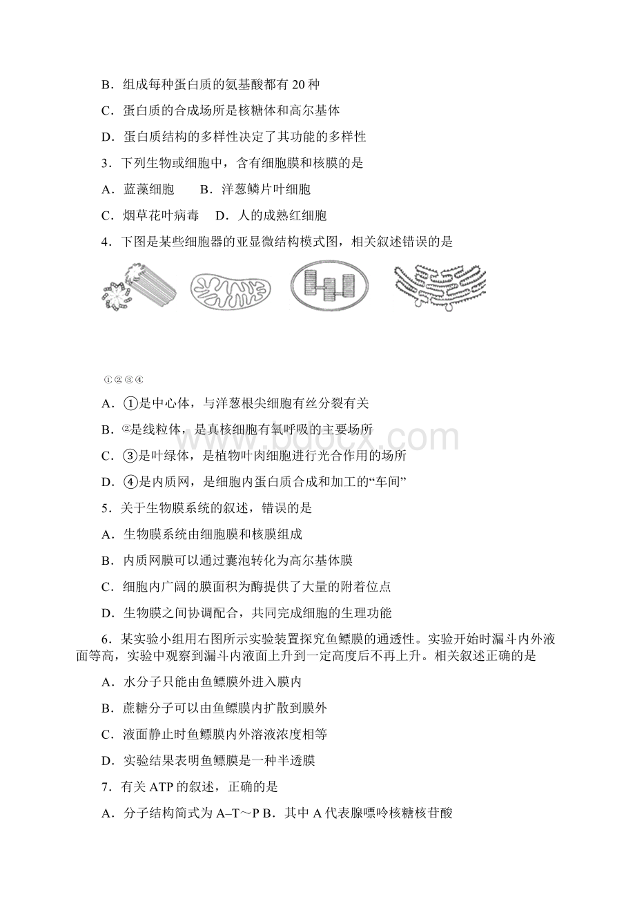 普通高中学业水平测试必修生物练习卷Word格式文档下载.docx_第2页