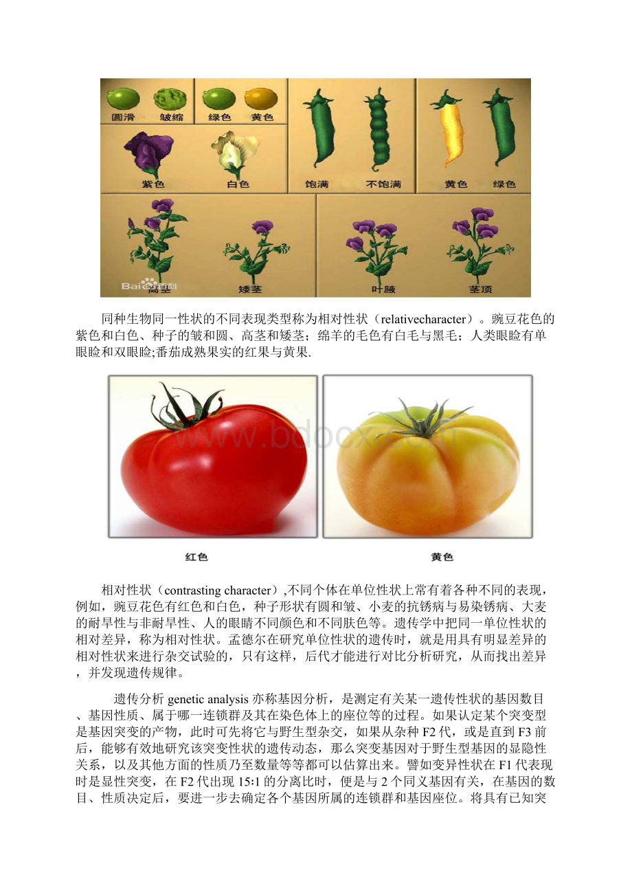 实验一人类性状遗传分析资料报告文档格式.docx_第2页