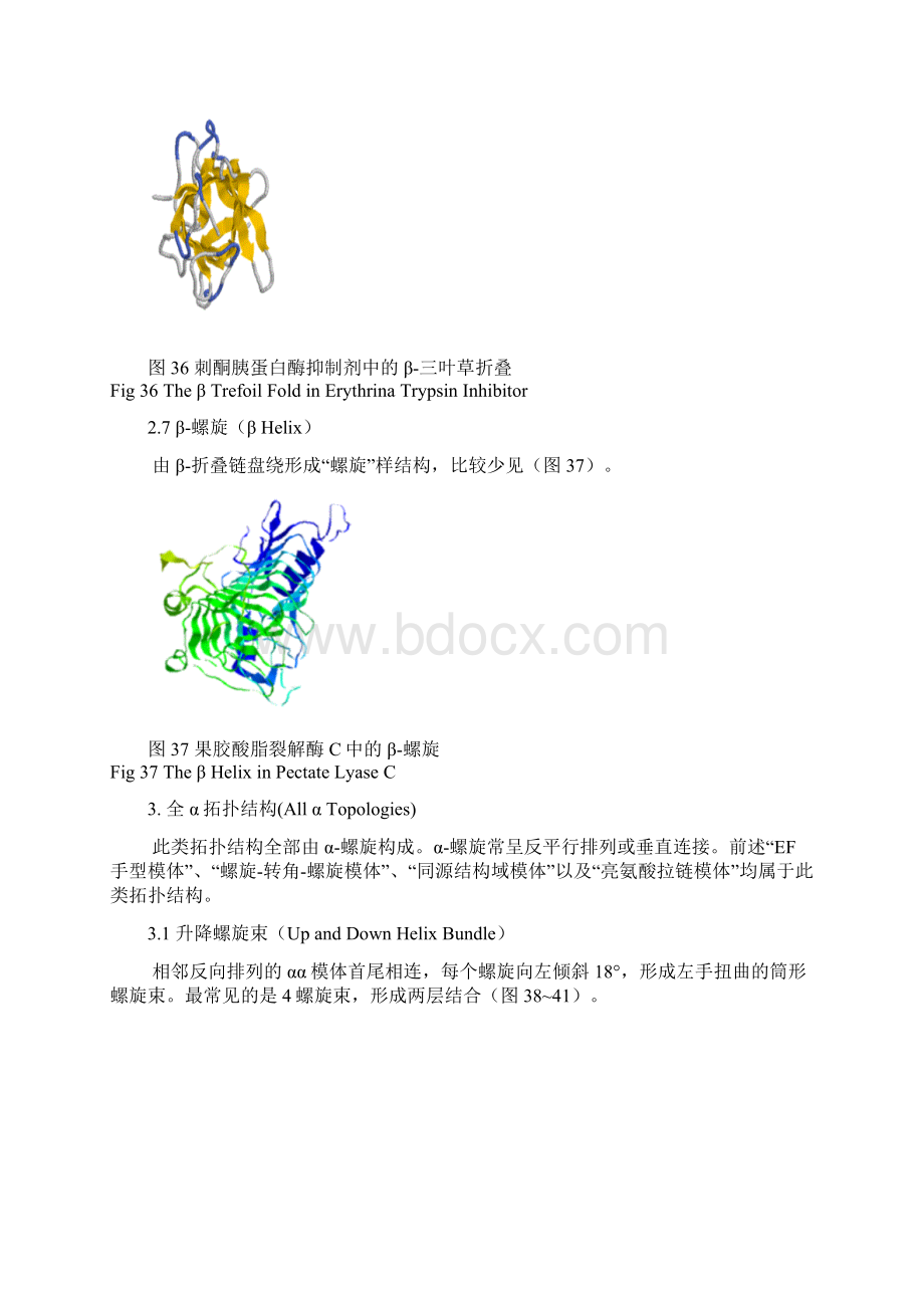 蛋白质的结构和功能Word文档下载推荐.docx_第2页