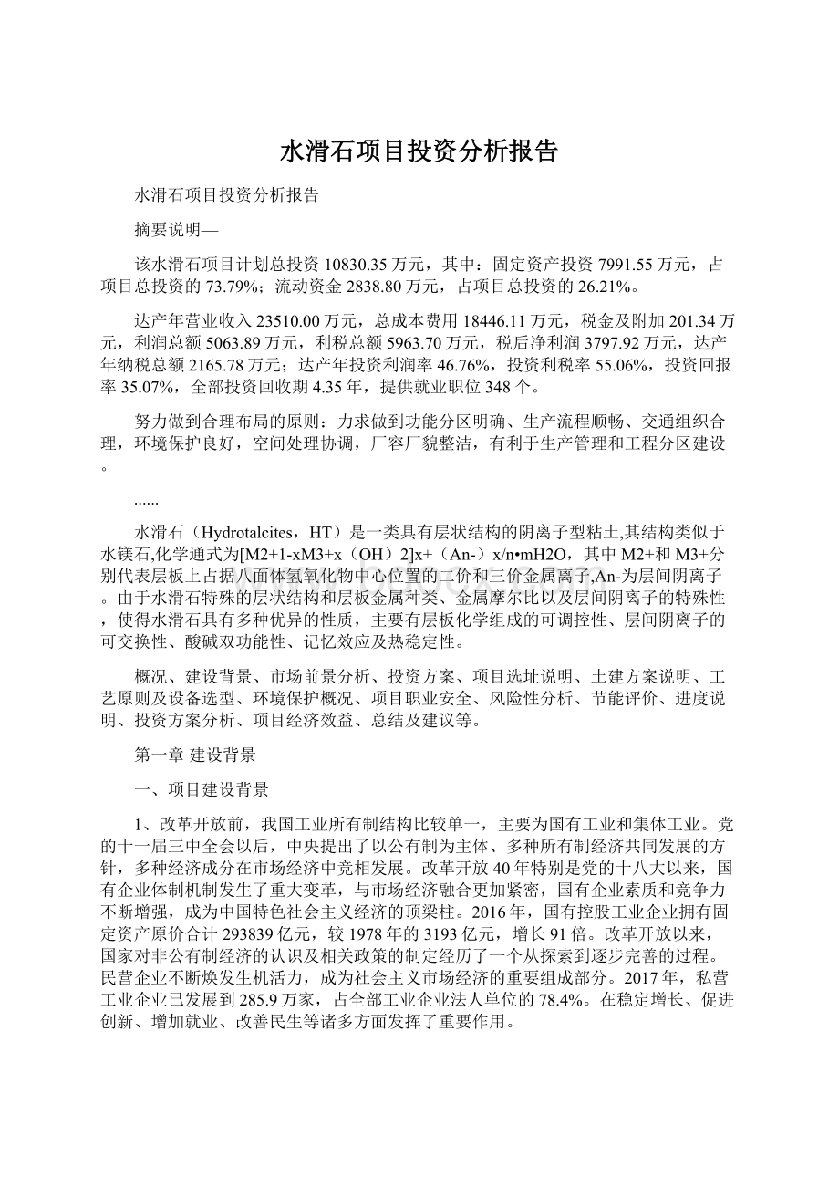 水滑石项目投资分析报告.docx_第1页