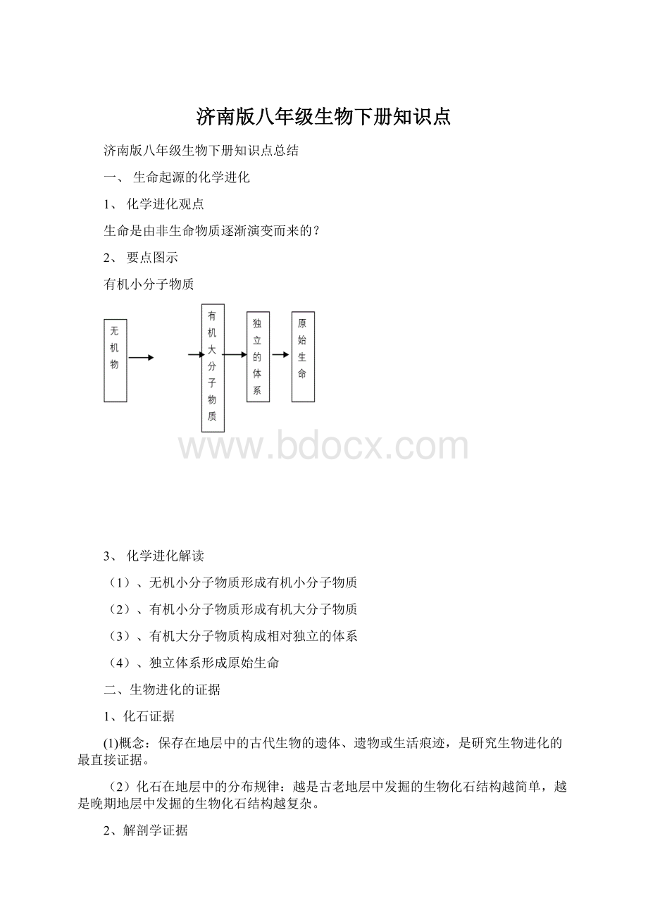 济南版八年级生物下册知识点Word文件下载.docx_第1页