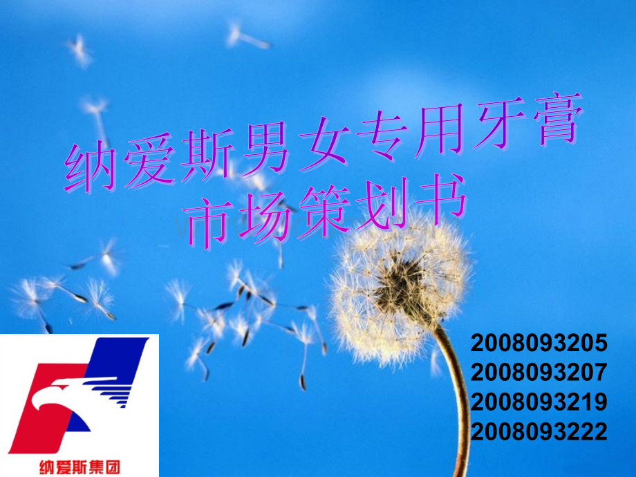 纳爱斯牙膏PPTPPT文件格式下载.ppt