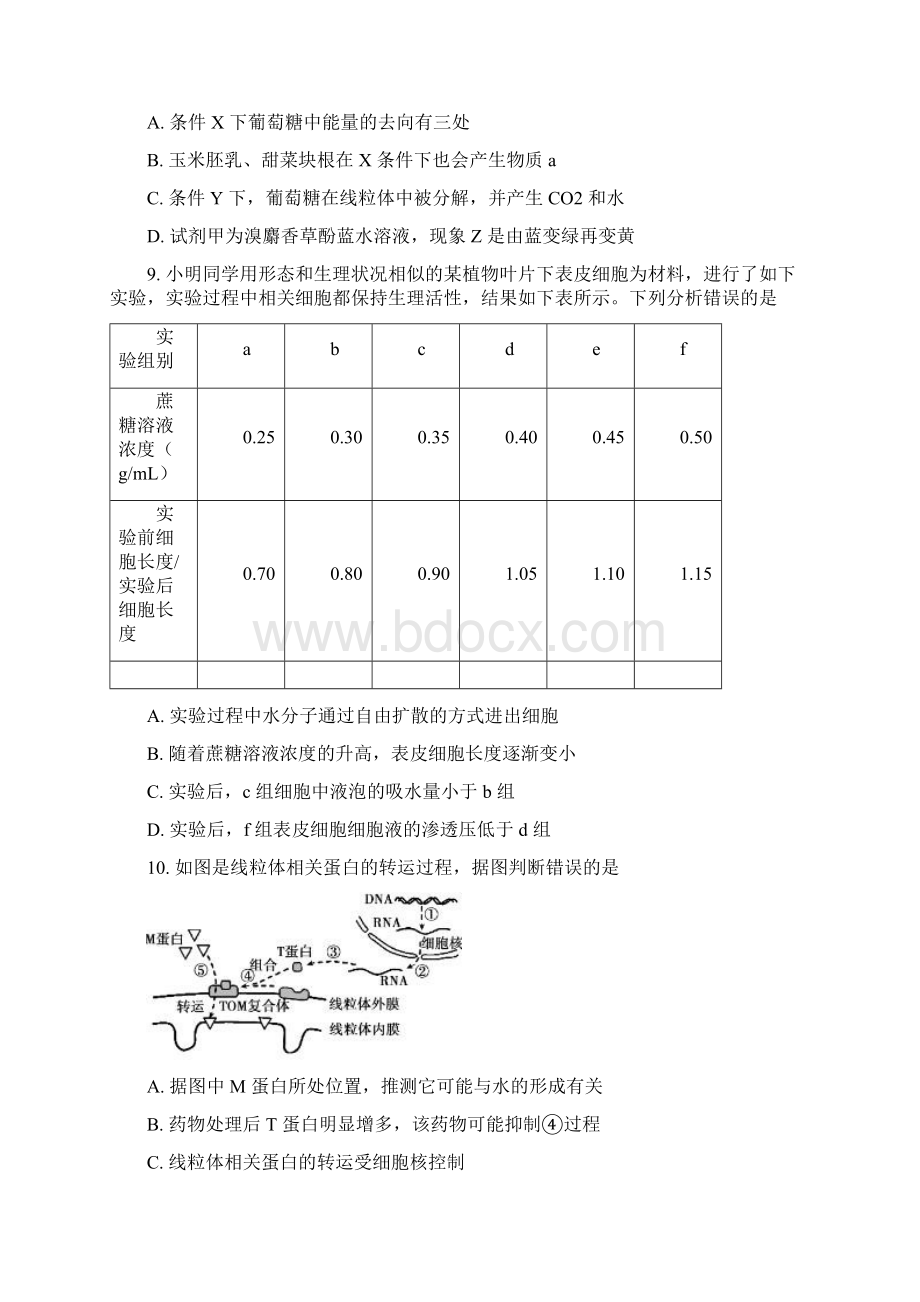 山东省泰安市宁阳一中届高三上学期月考生物试题 含答案.docx_第3页