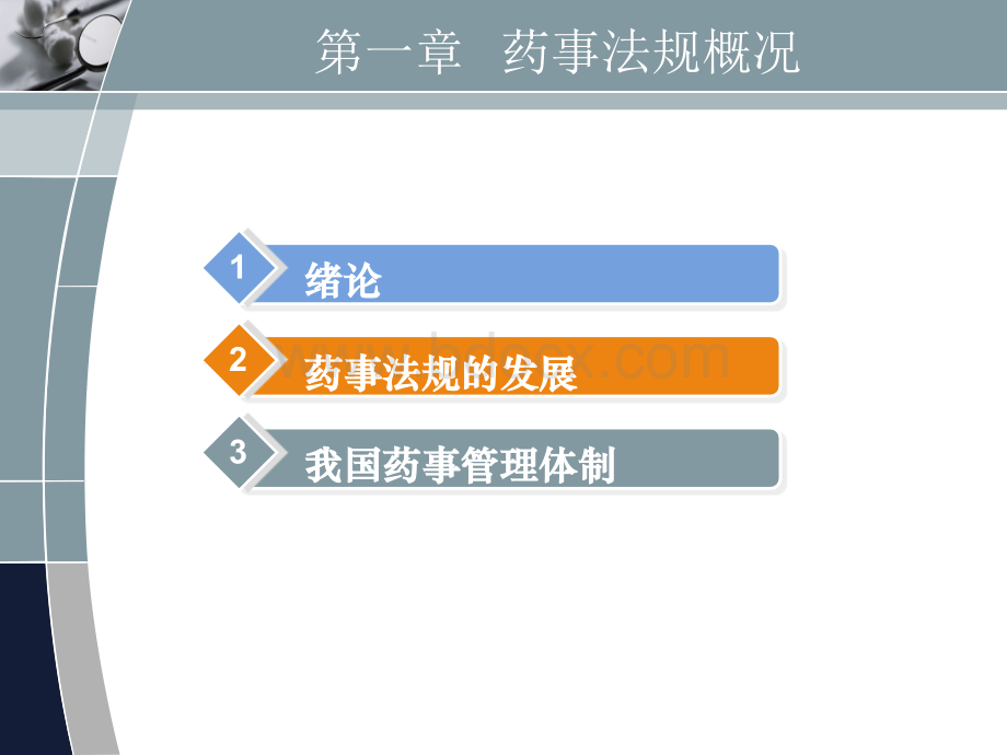 药品法规01_精品文档PPT格式课件下载.ppt_第2页