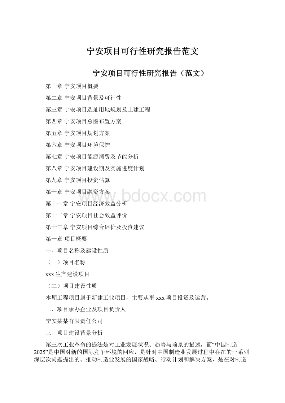 宁安项目可行性研究报告范文.docx