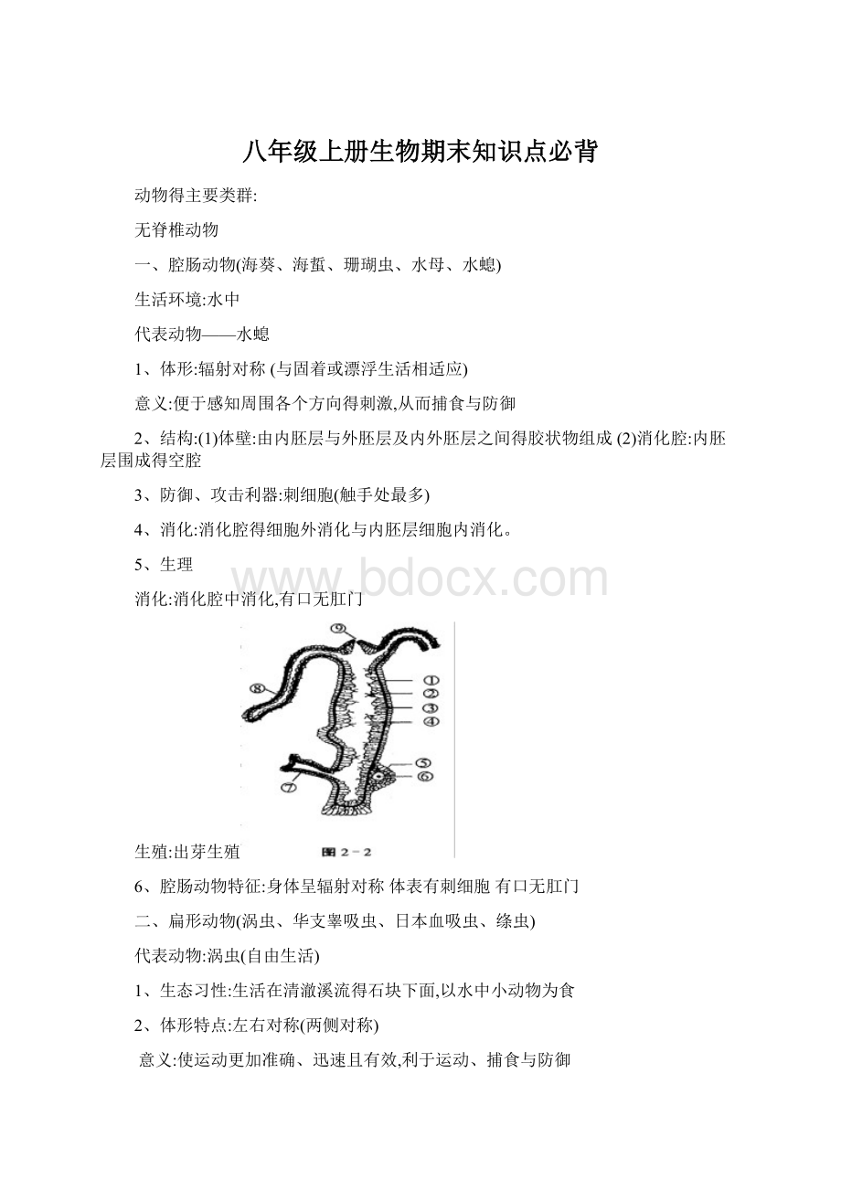 八年级上册生物期末知识点必背.docx