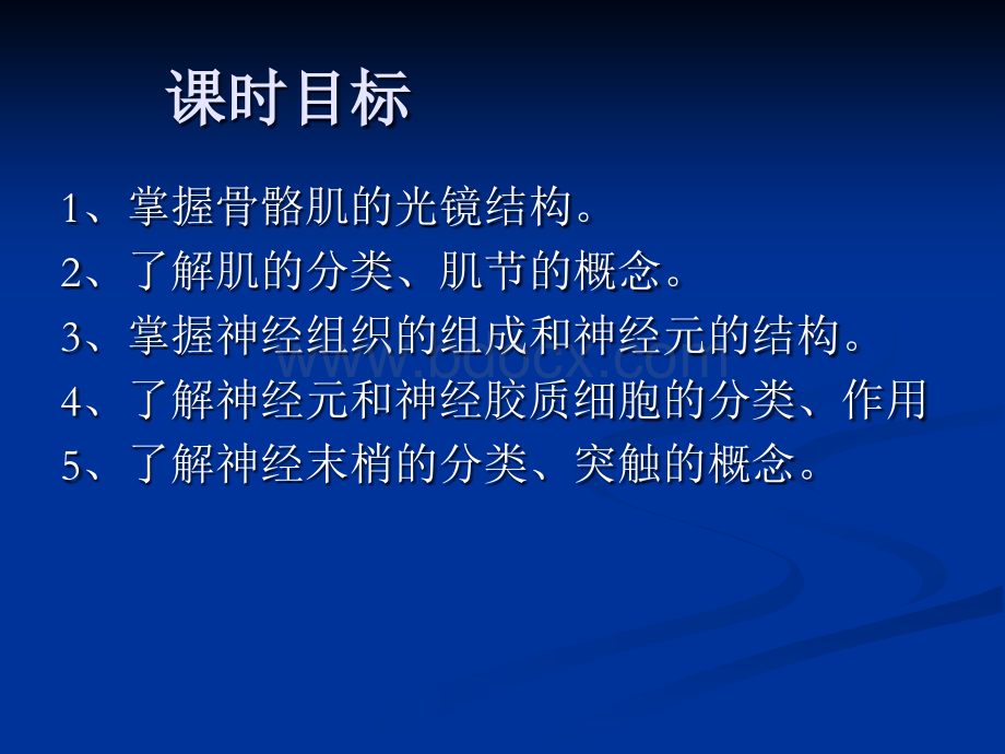 肌神经组织.ppt_第2页