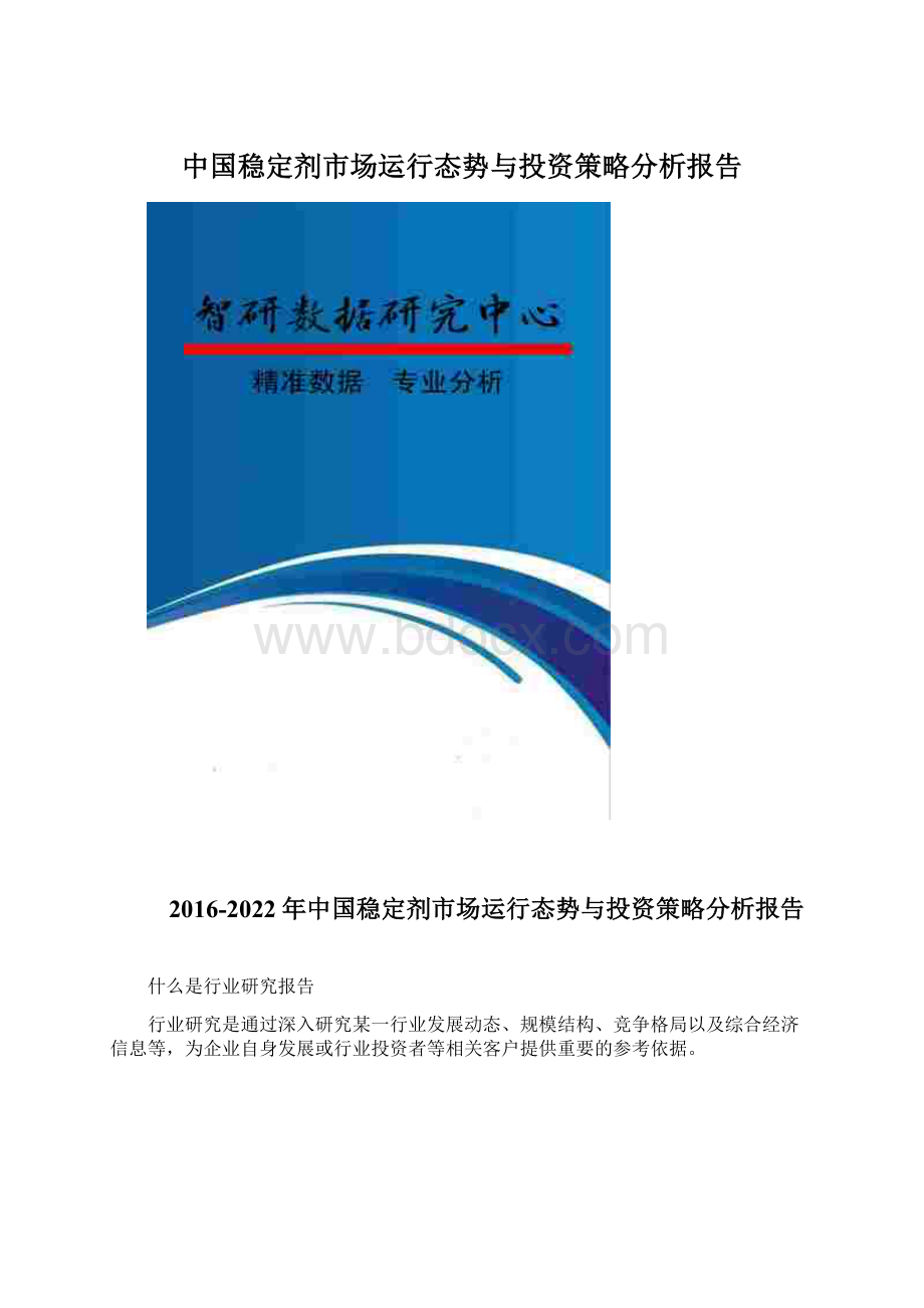 中国稳定剂市场运行态势与投资策略分析报告Word文档格式.docx