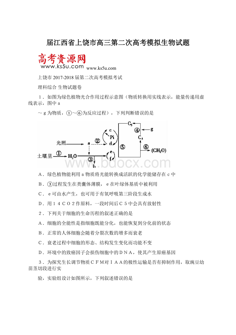 届江西省上饶市高三第二次高考模拟生物试题Word文档下载推荐.docx