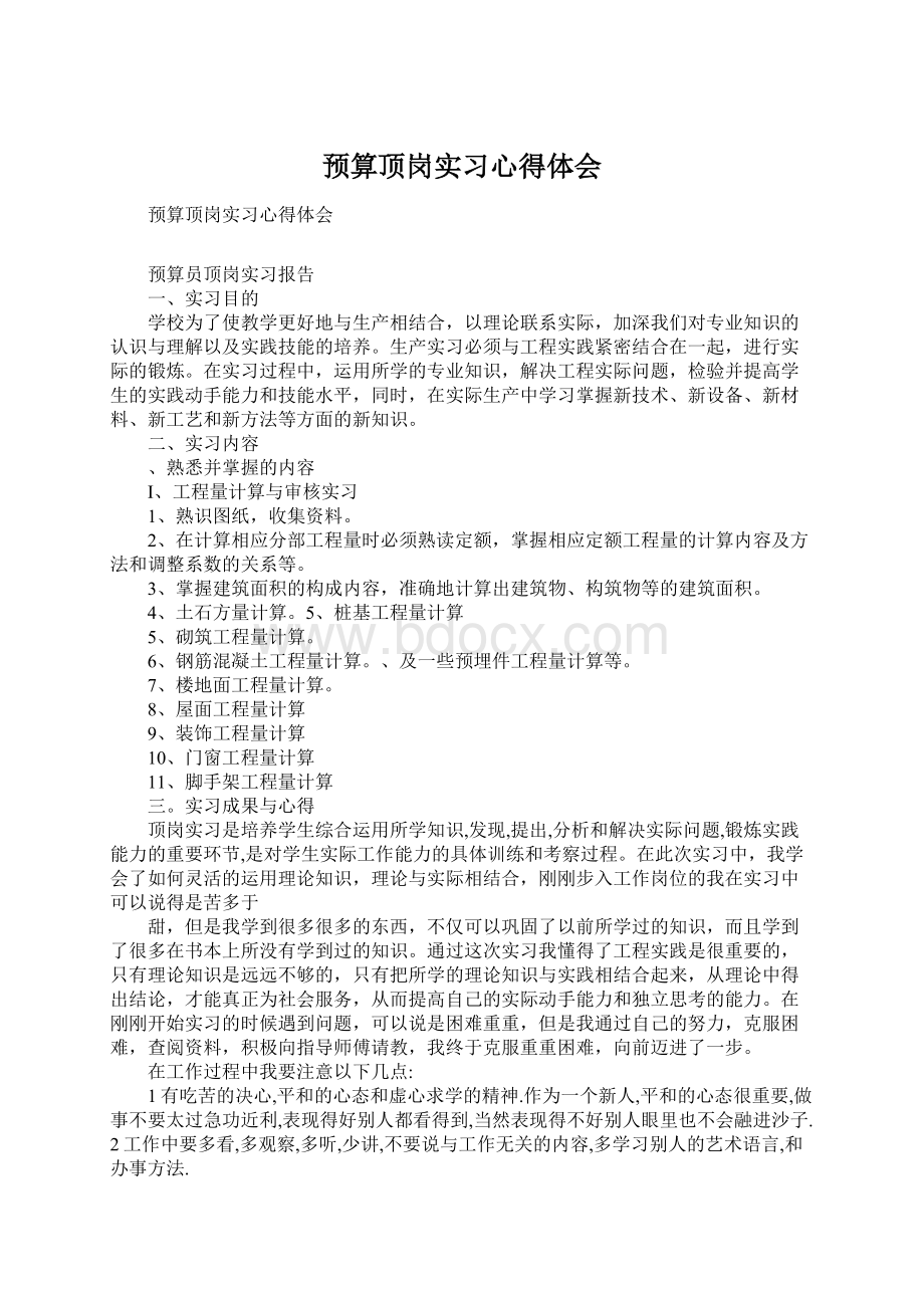 预算顶岗实习心得体会.docx_第1页