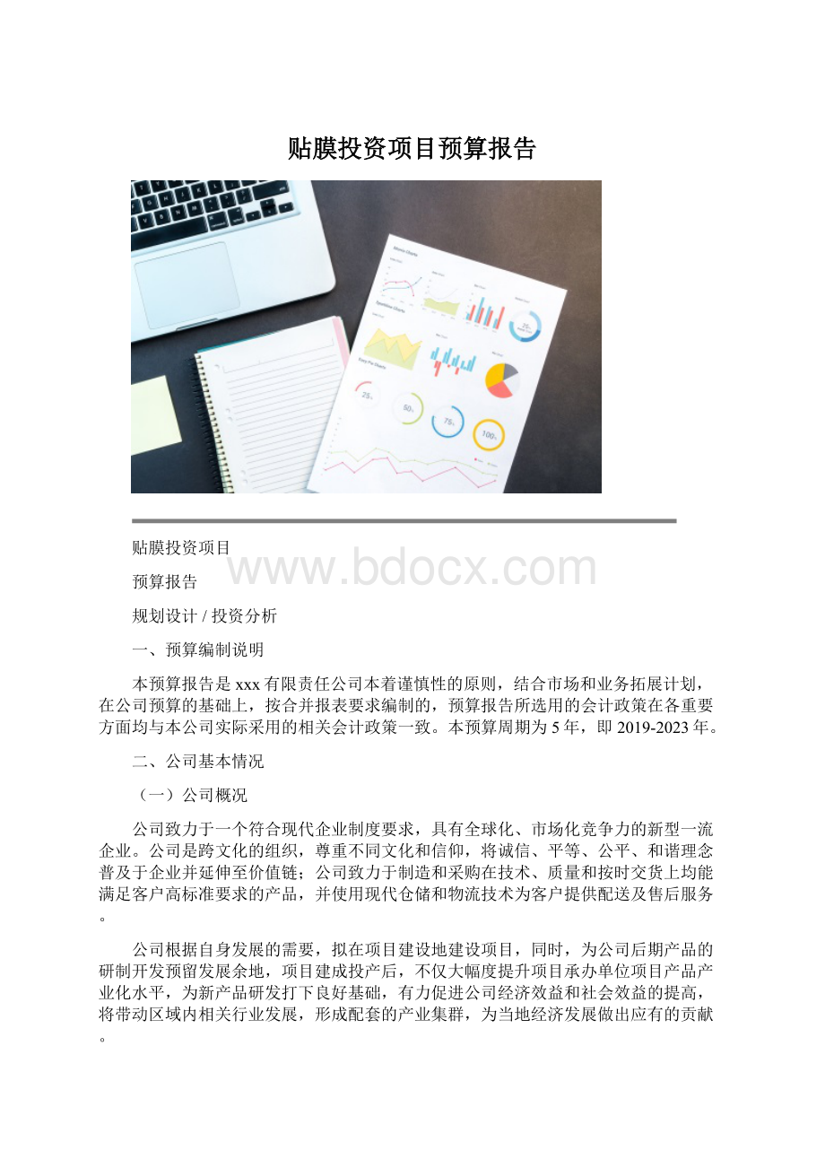 贴膜投资项目预算报告Word下载.docx