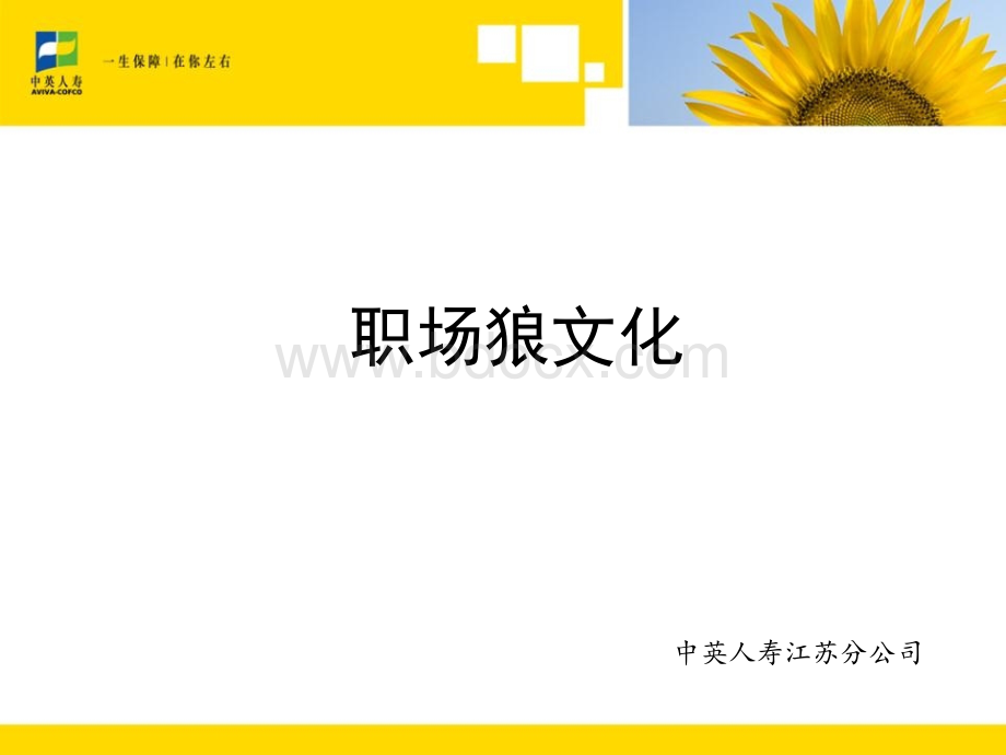 职场狼文化优质PPT.ppt