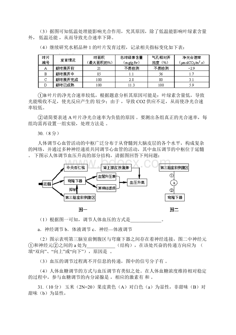 湖北省武汉市武昌区高三元月调研考试理综试题Word下载.docx_第3页