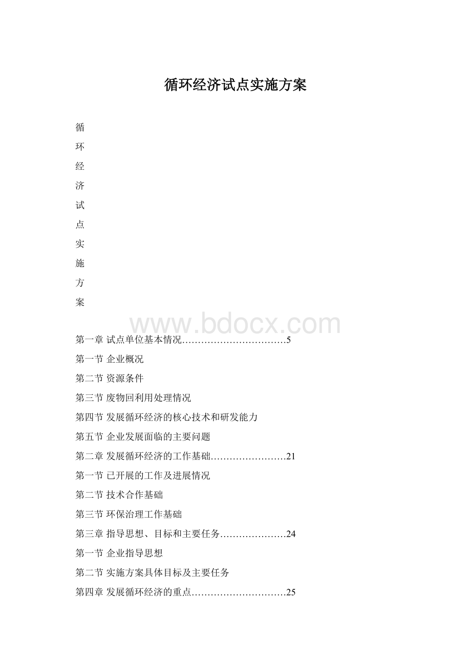 循环经济试点实施方案文档格式.docx