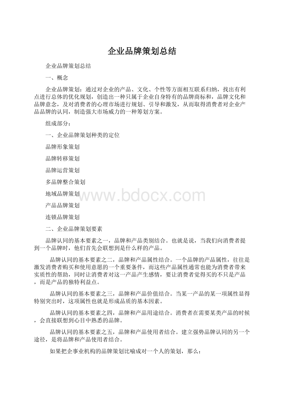 企业品牌策划总结Word格式文档下载.docx