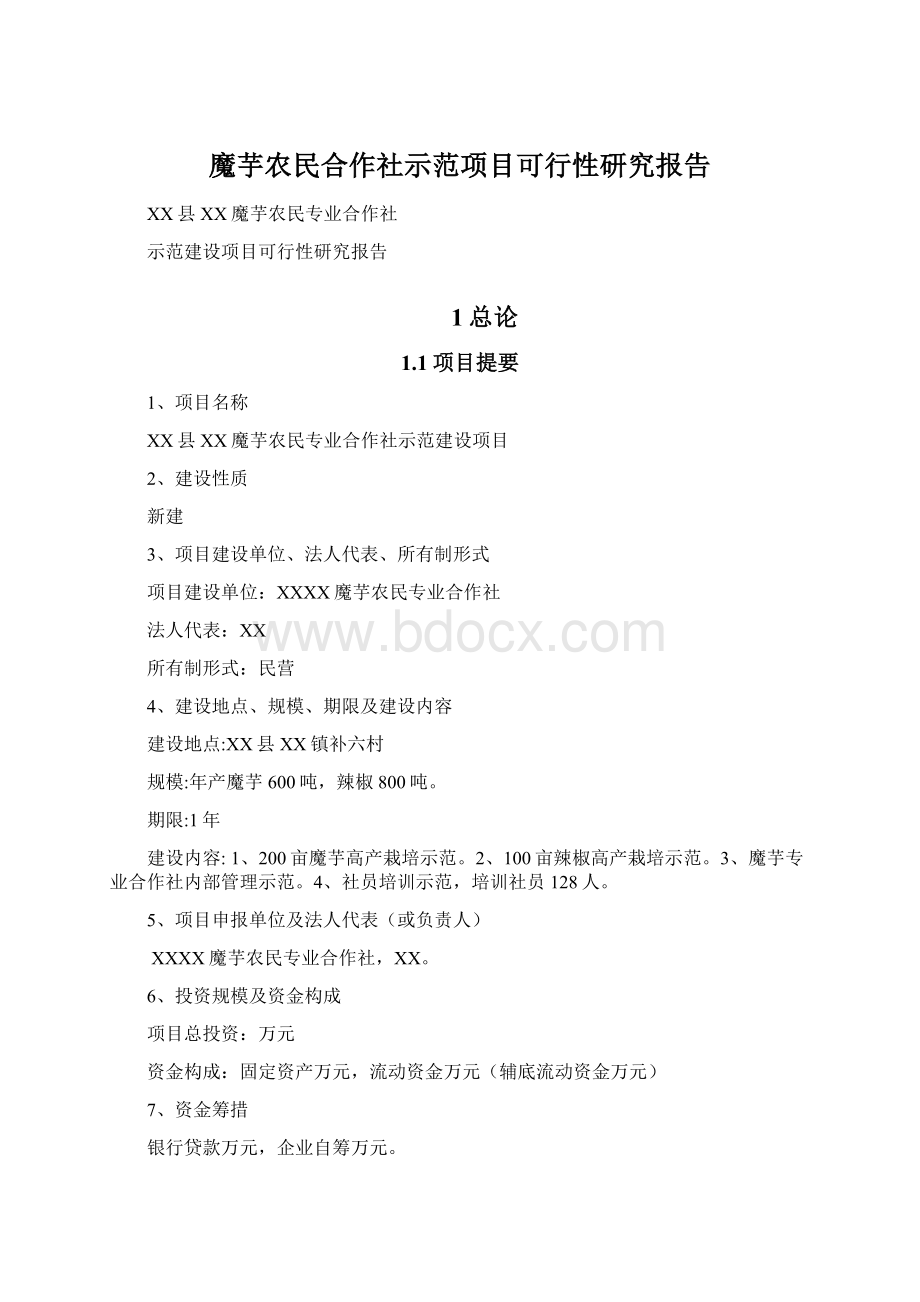 魔芋农民合作社示范项目可行性研究报告Word文档格式.docx