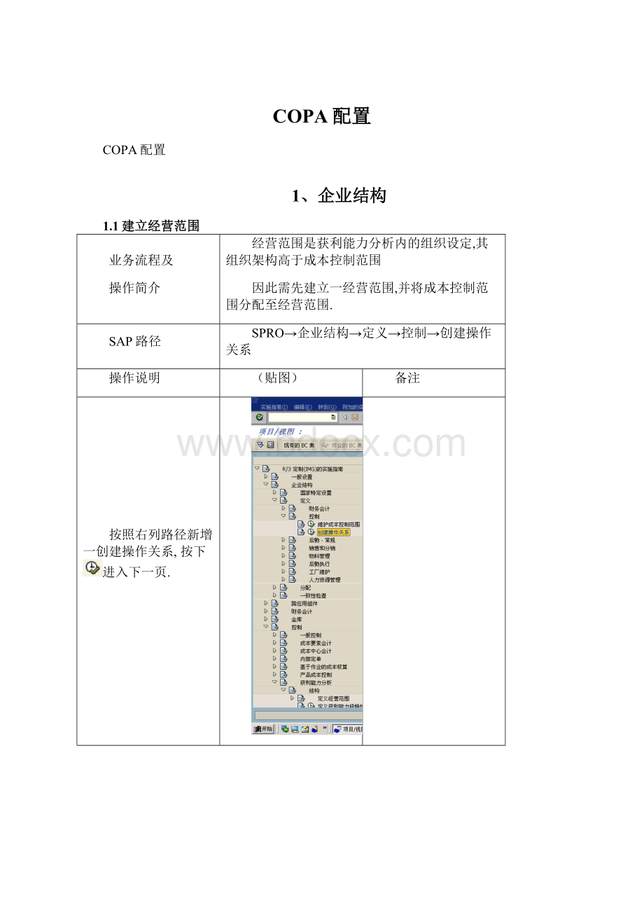 COPA配置.docx