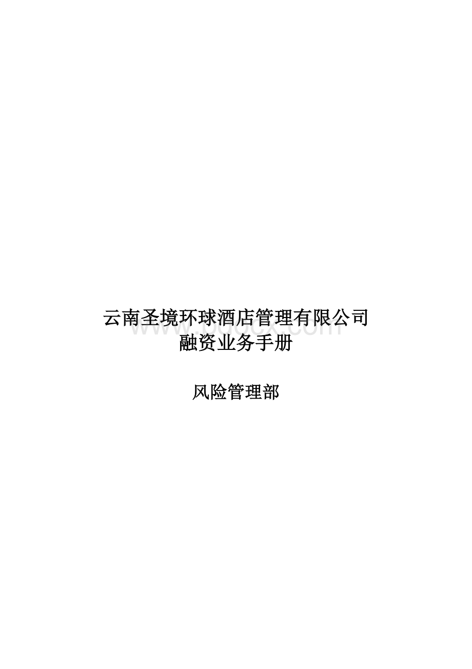 融资业务手册Word格式.doc_第1页