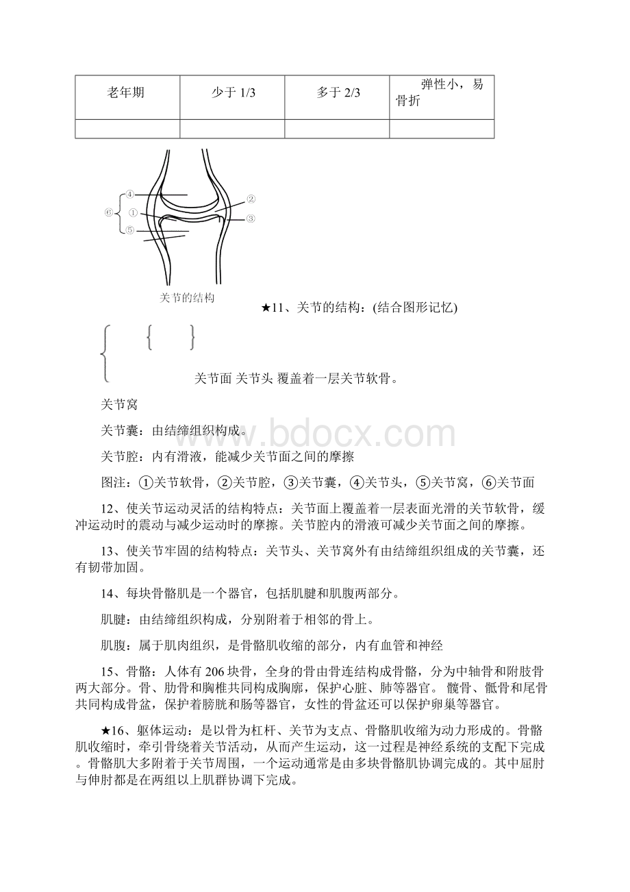 八年级生物上册知识点总结北师大版Word格式.docx_第3页