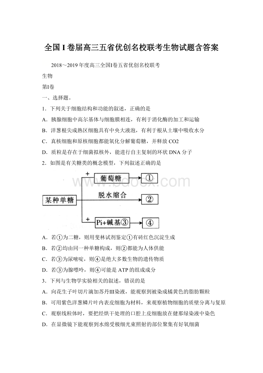 全国I卷届高三五省优创名校联考生物试题含答案.docx