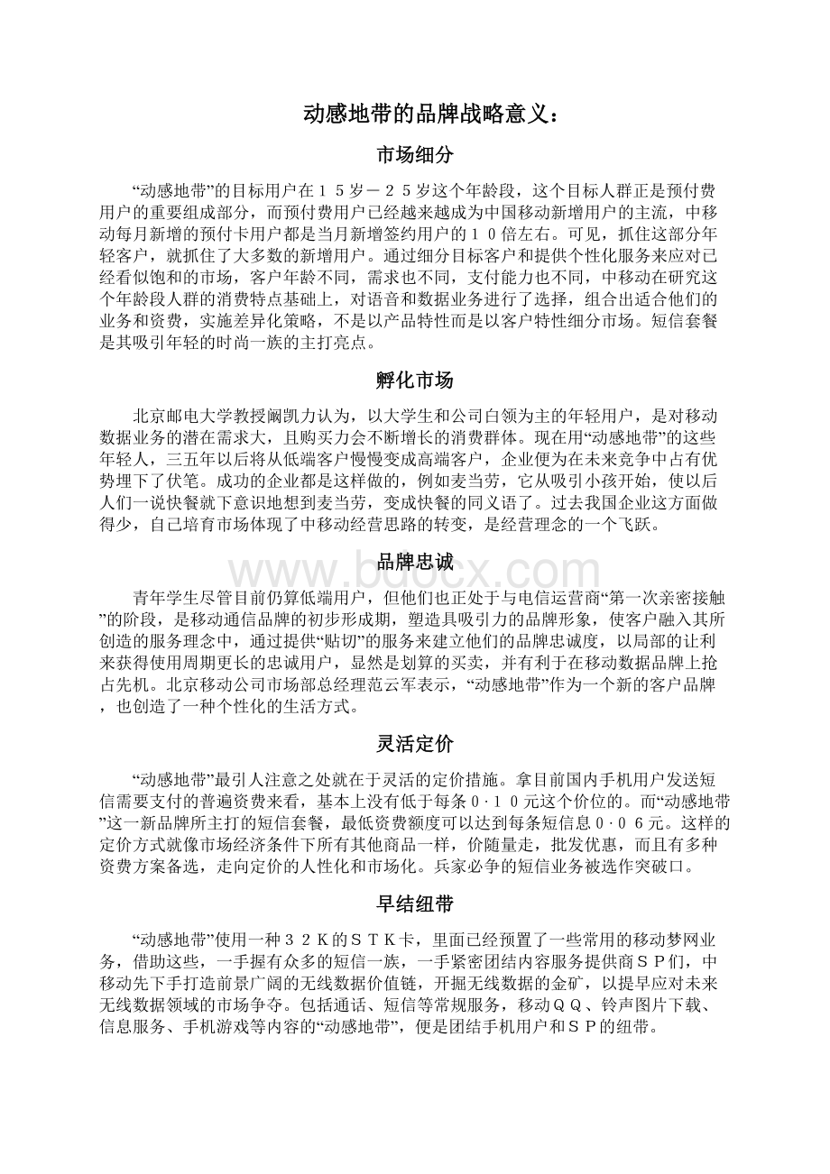 中国移动动感地带品牌研究报告.docx_第2页