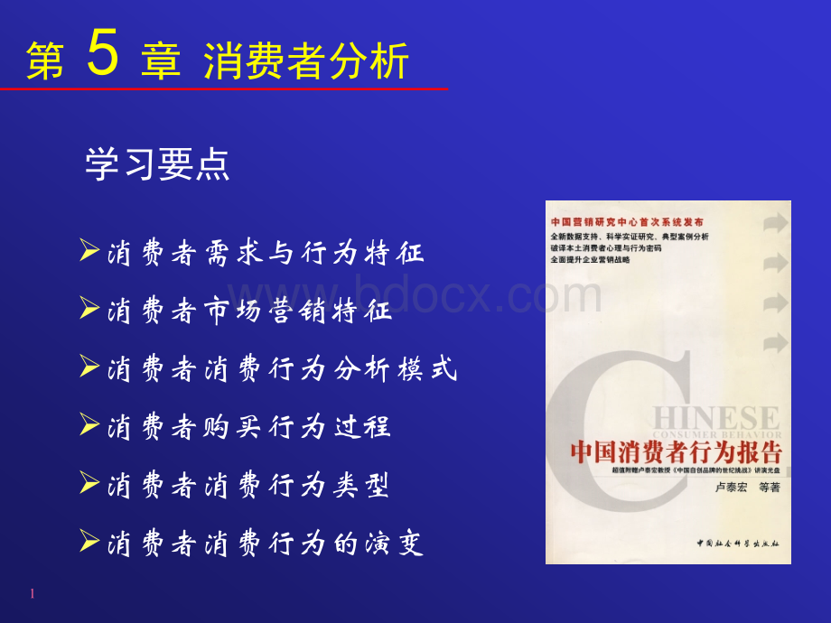 消费者分析优质PPT.ppt_第2页