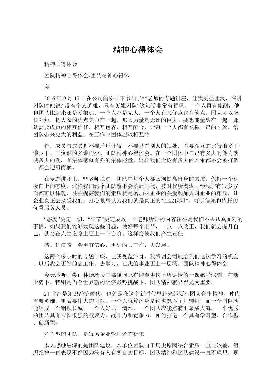 精神心得体会Word文档格式.docx