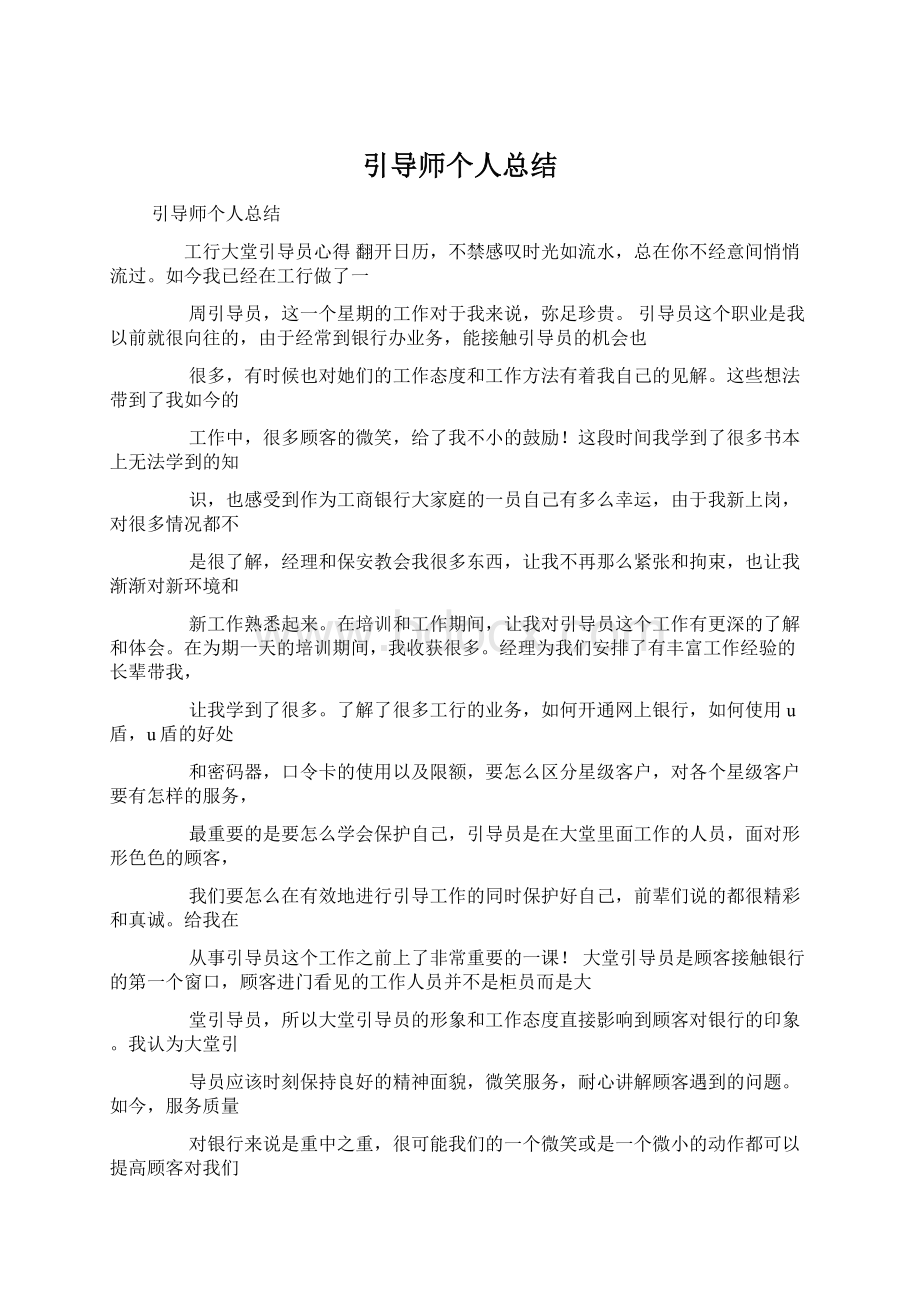 引导师个人总结文档格式.docx_第1页