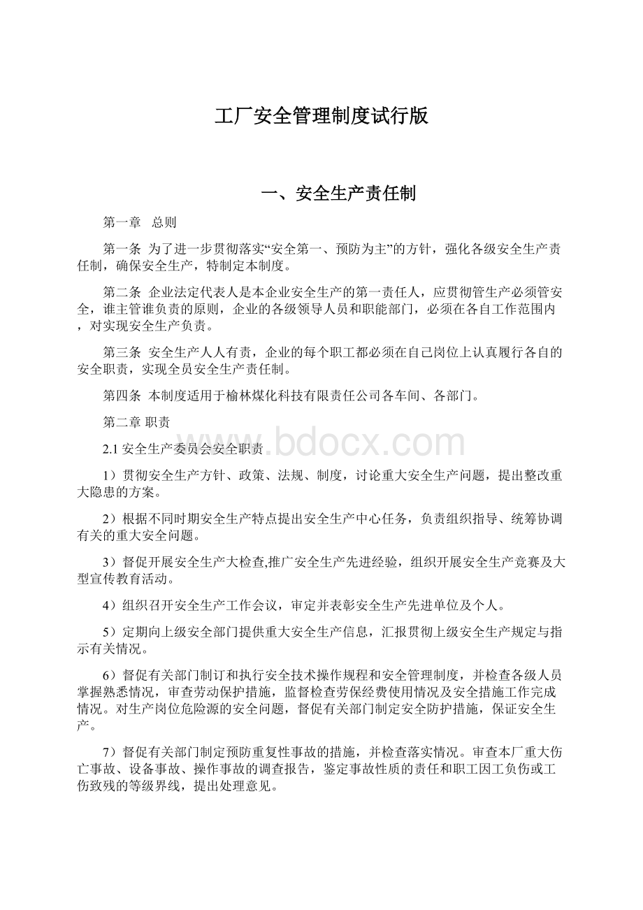 工厂安全管理制度试行版Word文档格式.docx_第1页