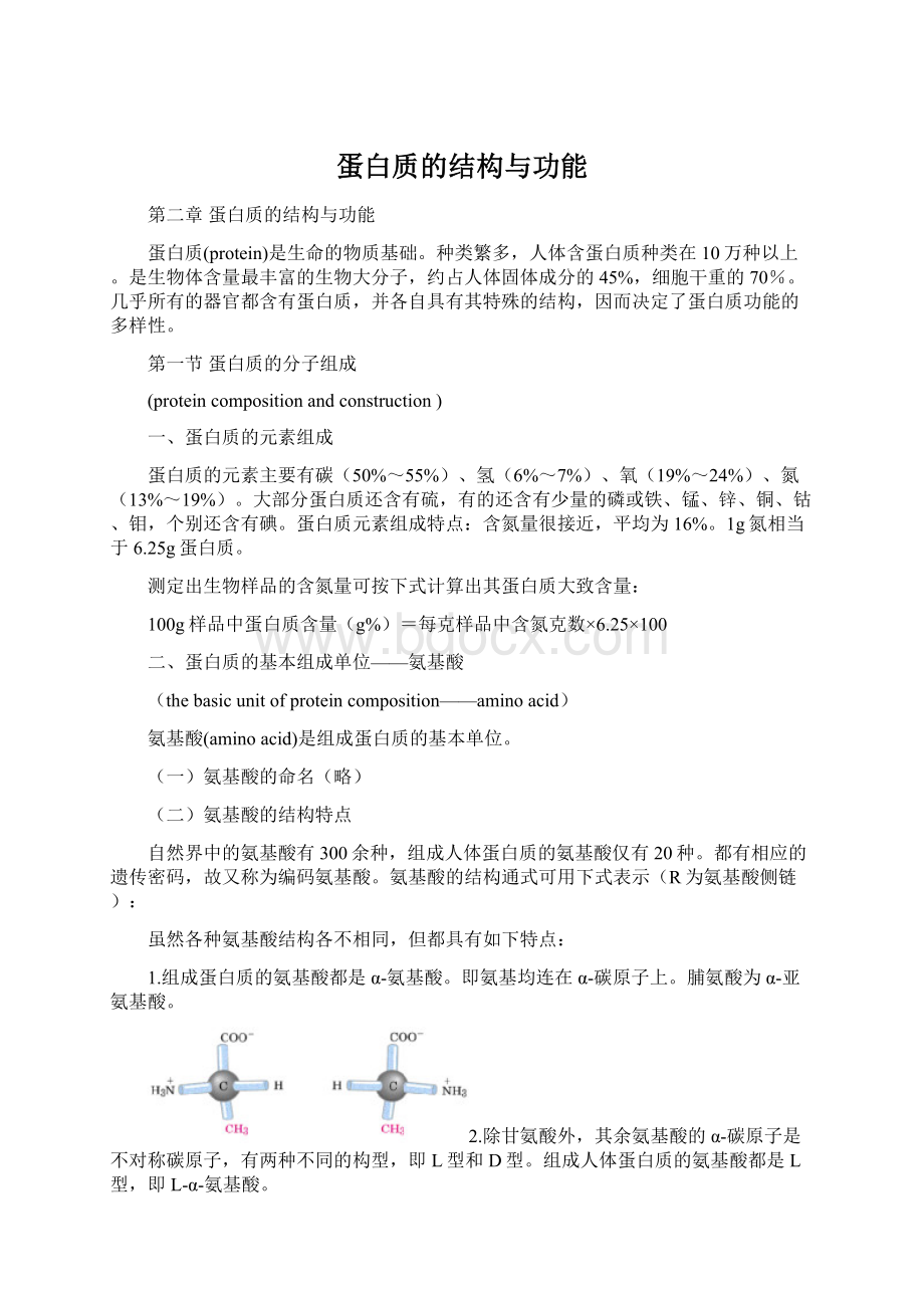 蛋白质的结构与功能Word格式文档下载.docx