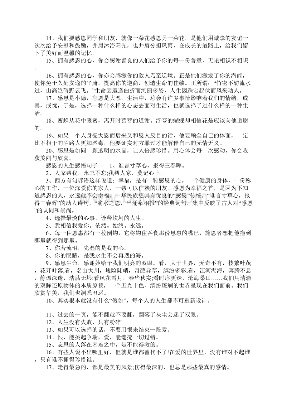 关于感恩的人生感悟语录Word文件下载.docx_第2页