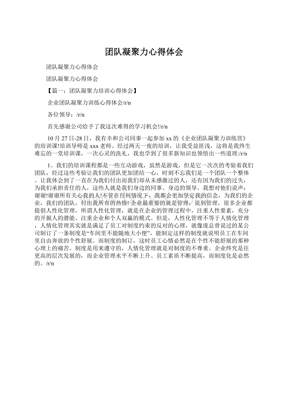 团队凝聚力心得体会Word格式文档下载.docx