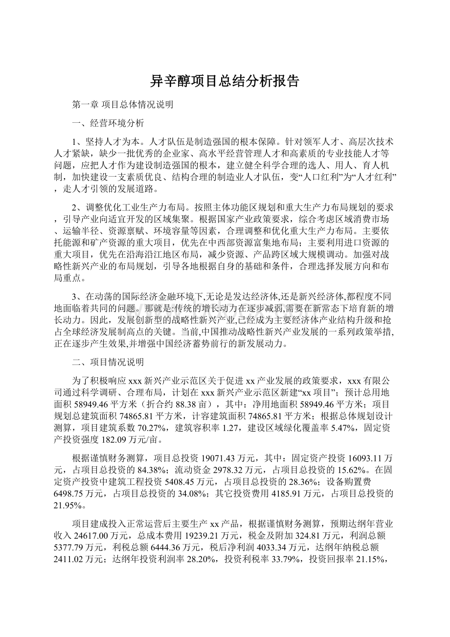 异辛醇项目总结分析报告.docx