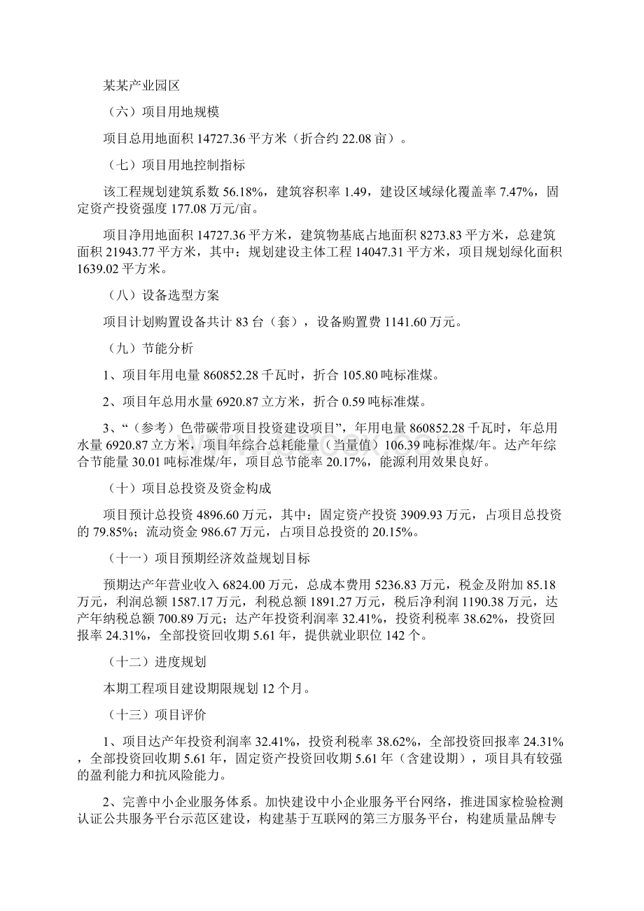 参考色带碳带项目立项报告.docx_第2页