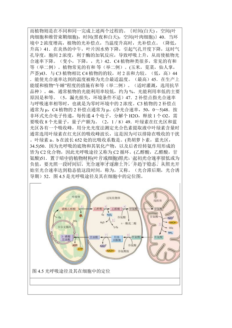 植物生理学王忠版题库含复习资料Word格式文档下载.docx_第3页