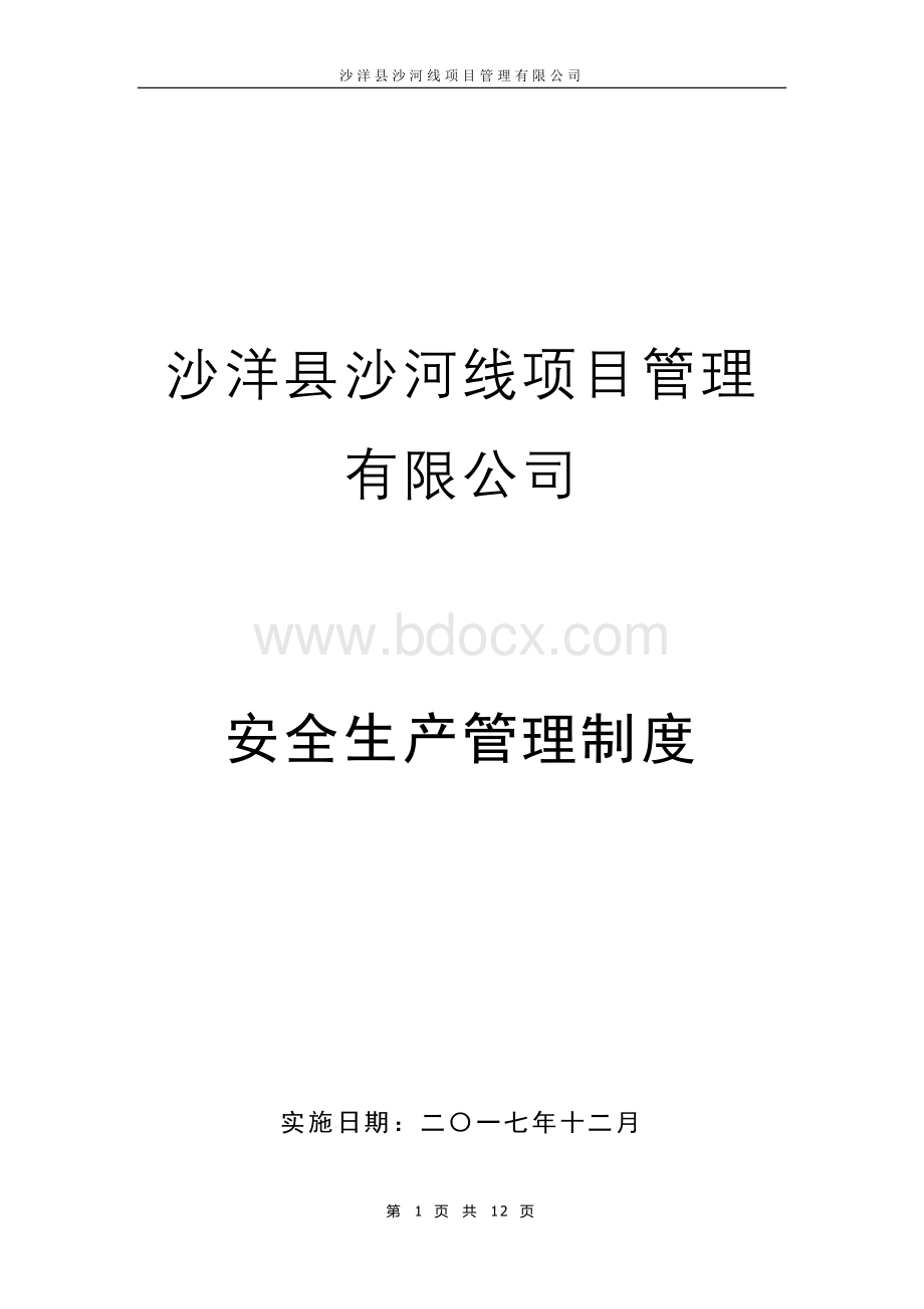 项目公司安全生产管理制度.docx_第1页