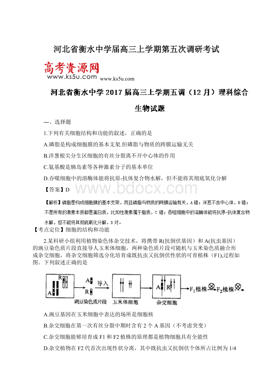 河北省衡水中学届高三上学期第五次调研考试文档格式.docx_第1页