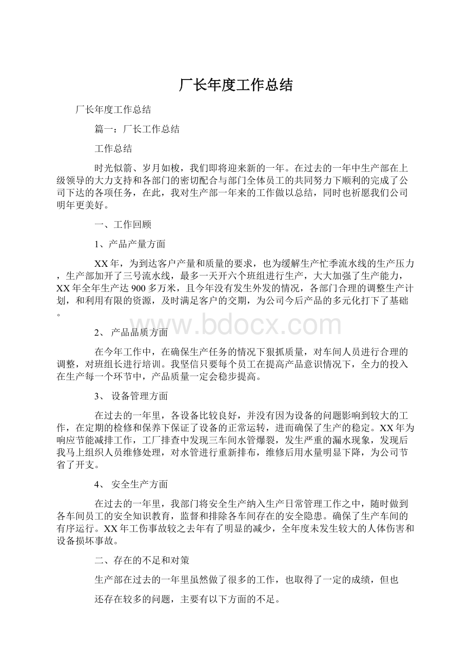 厂长年度工作总结.docx