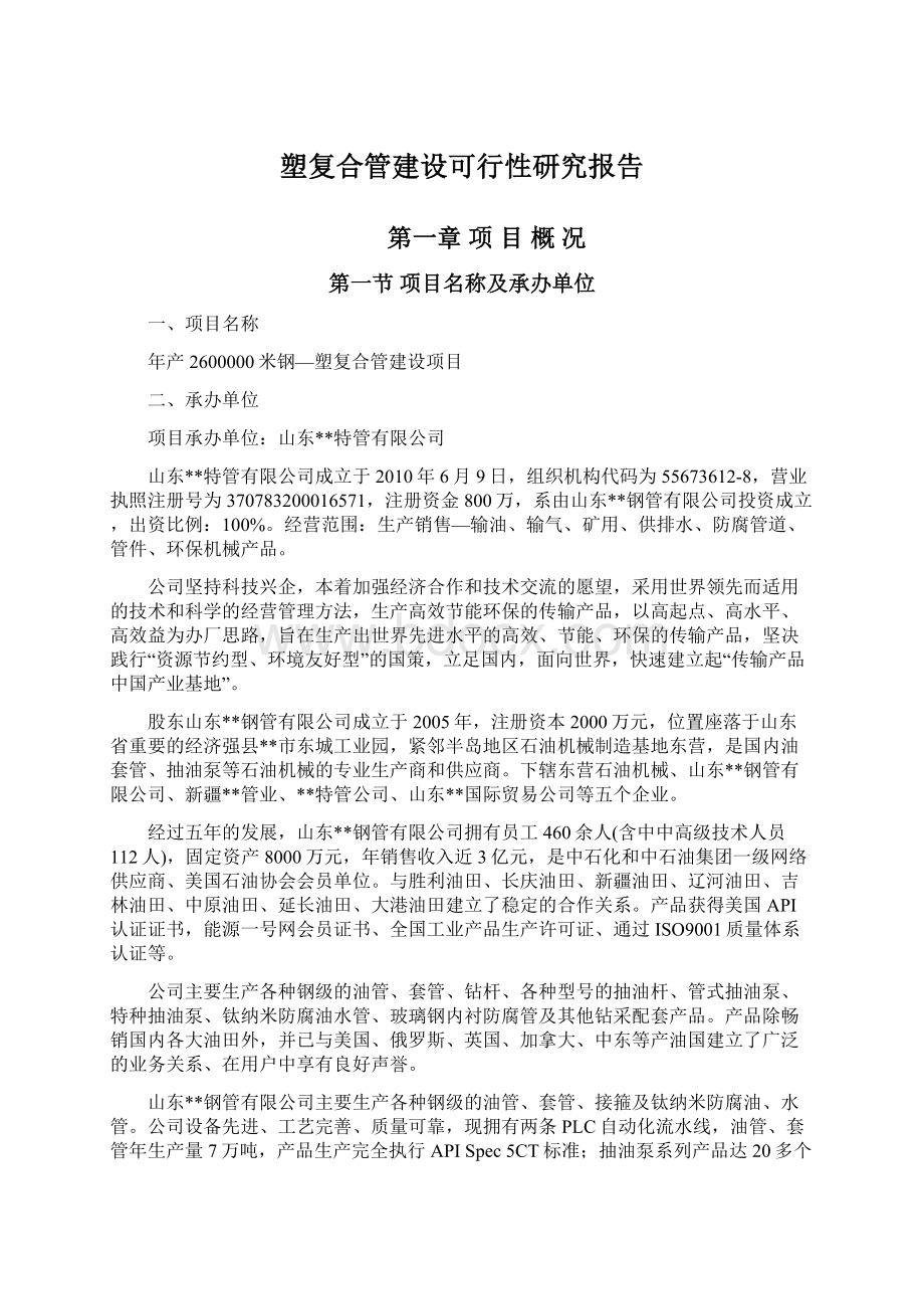 塑复合管建设可行性研究报告Word文档格式.docx