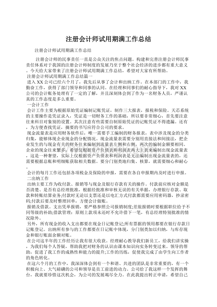 注册会计师试用期满工作总结.docx