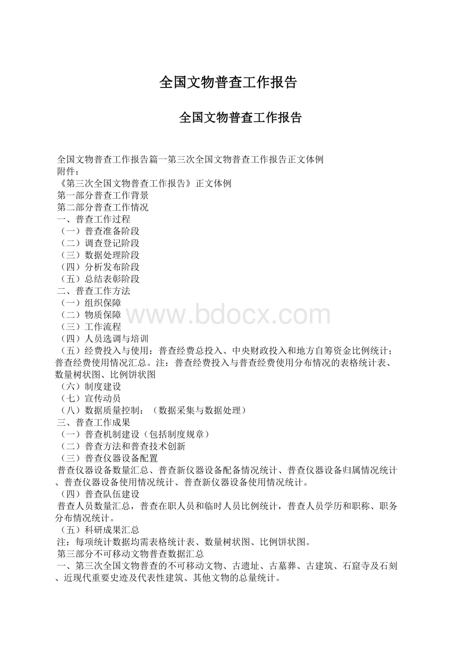 全国文物普查工作报告.docx_第1页