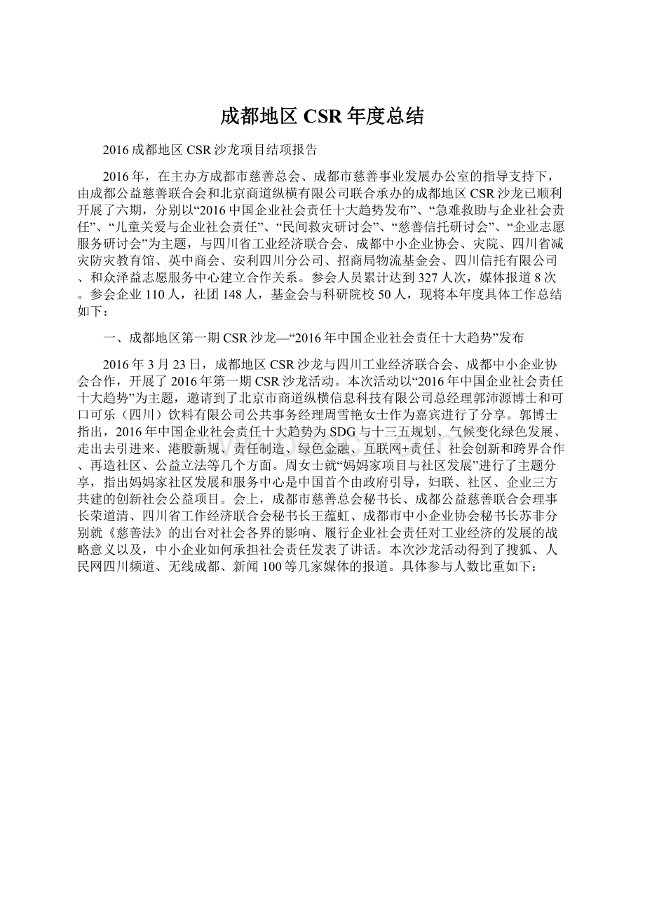 成都地区CSR年度总结.docx_第1页