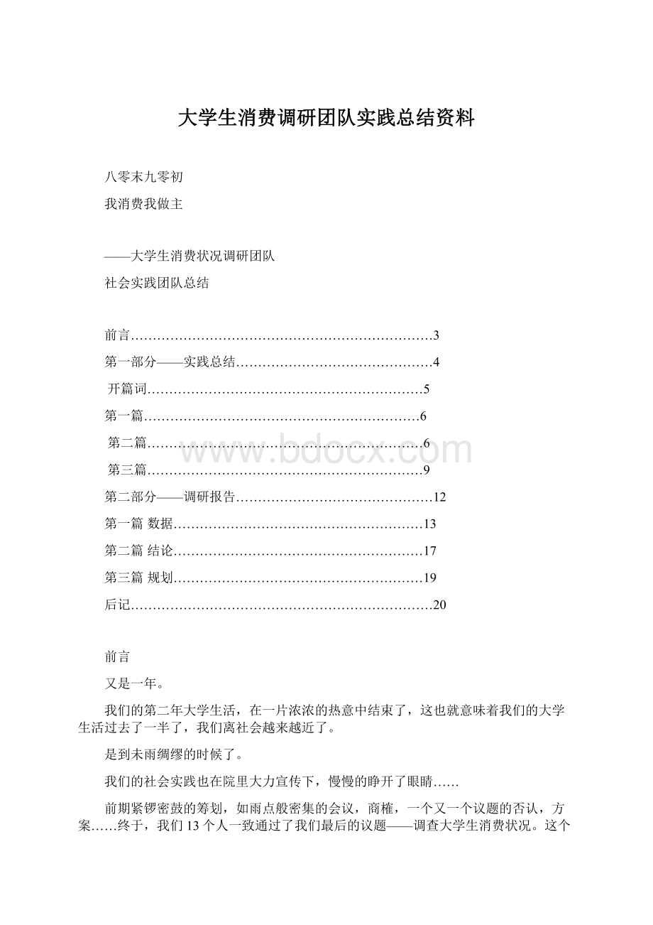 大学生消费调研团队实践总结资料.docx