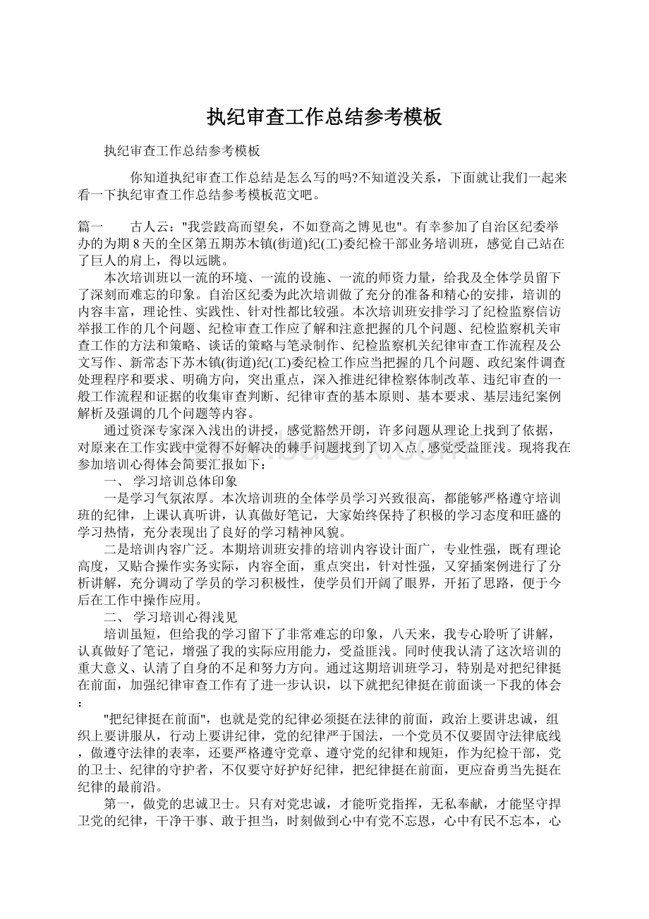 执纪审查工作总结参考模板文档格式.docx