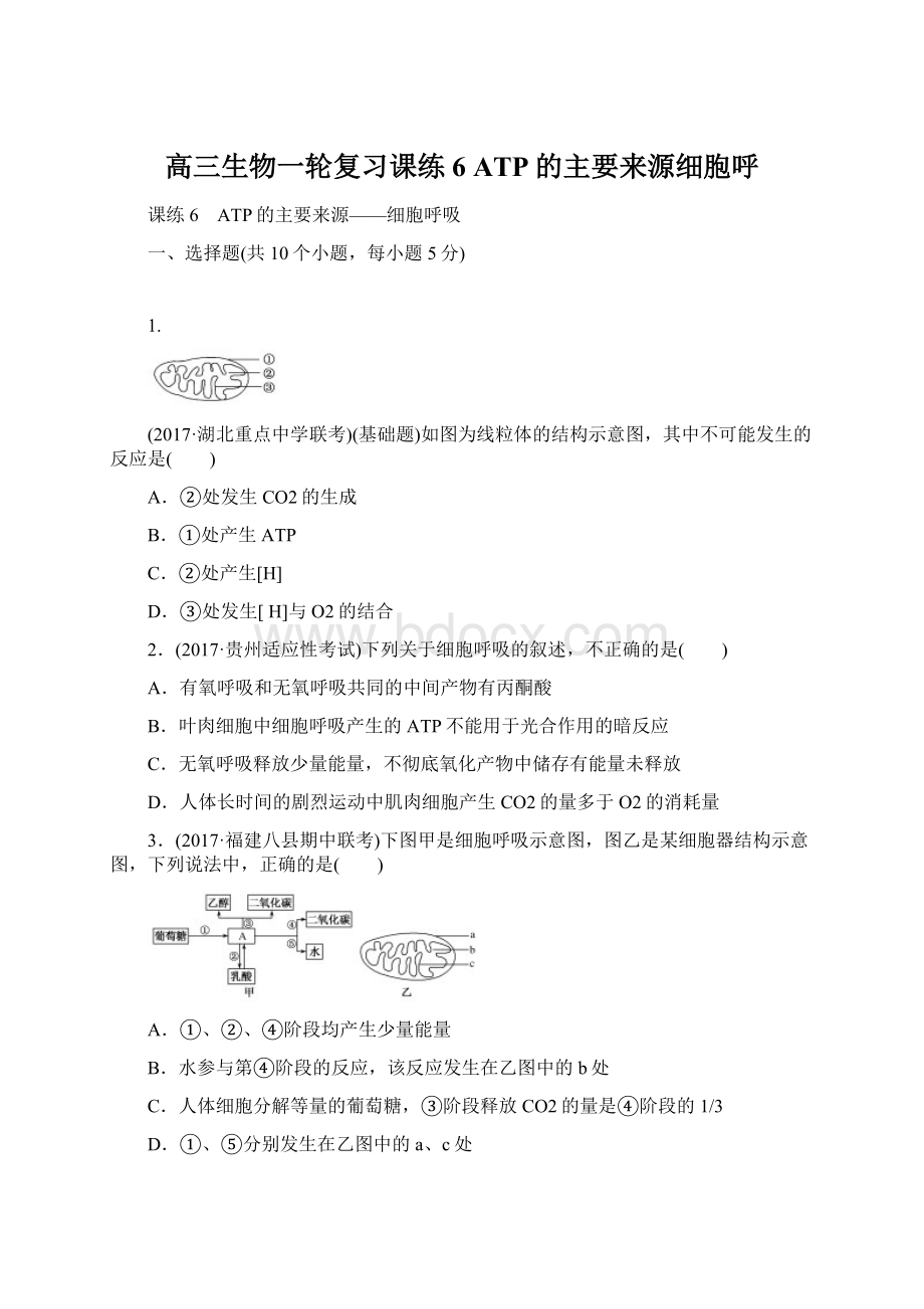 高三生物一轮复习课练6 ATP的主要来源细胞呼Word文件下载.docx