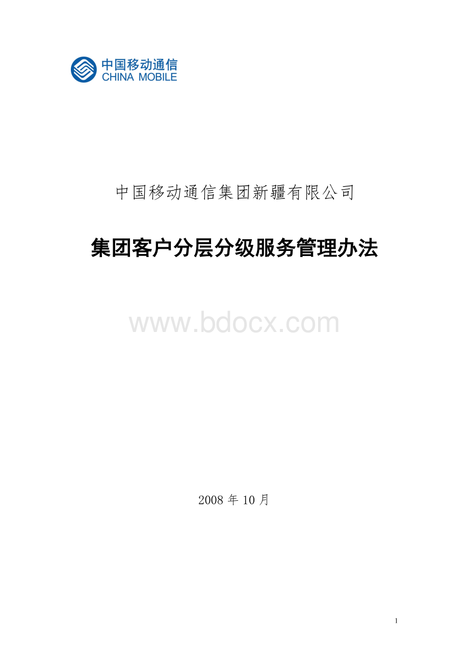 集团客户分层分级服务管理办法(校对版).doc