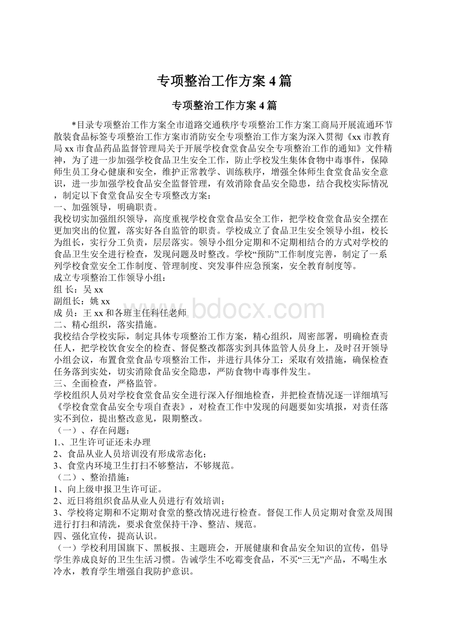 专项整治工作方案4篇文档格式.docx