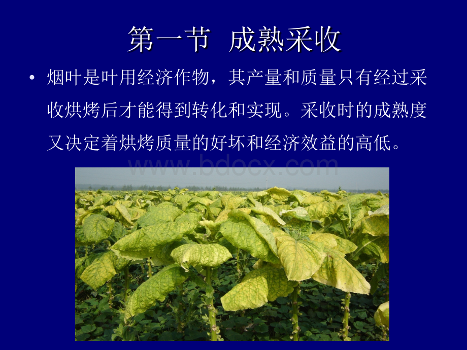 13调制初级工第三章第一节_精品文档.ppt_第2页