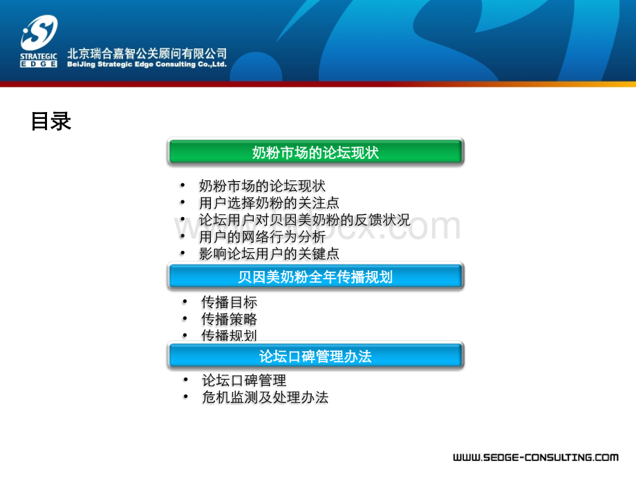 贝因美年度网络传播策划(瑞合)PPT文档格式.ppt_第2页